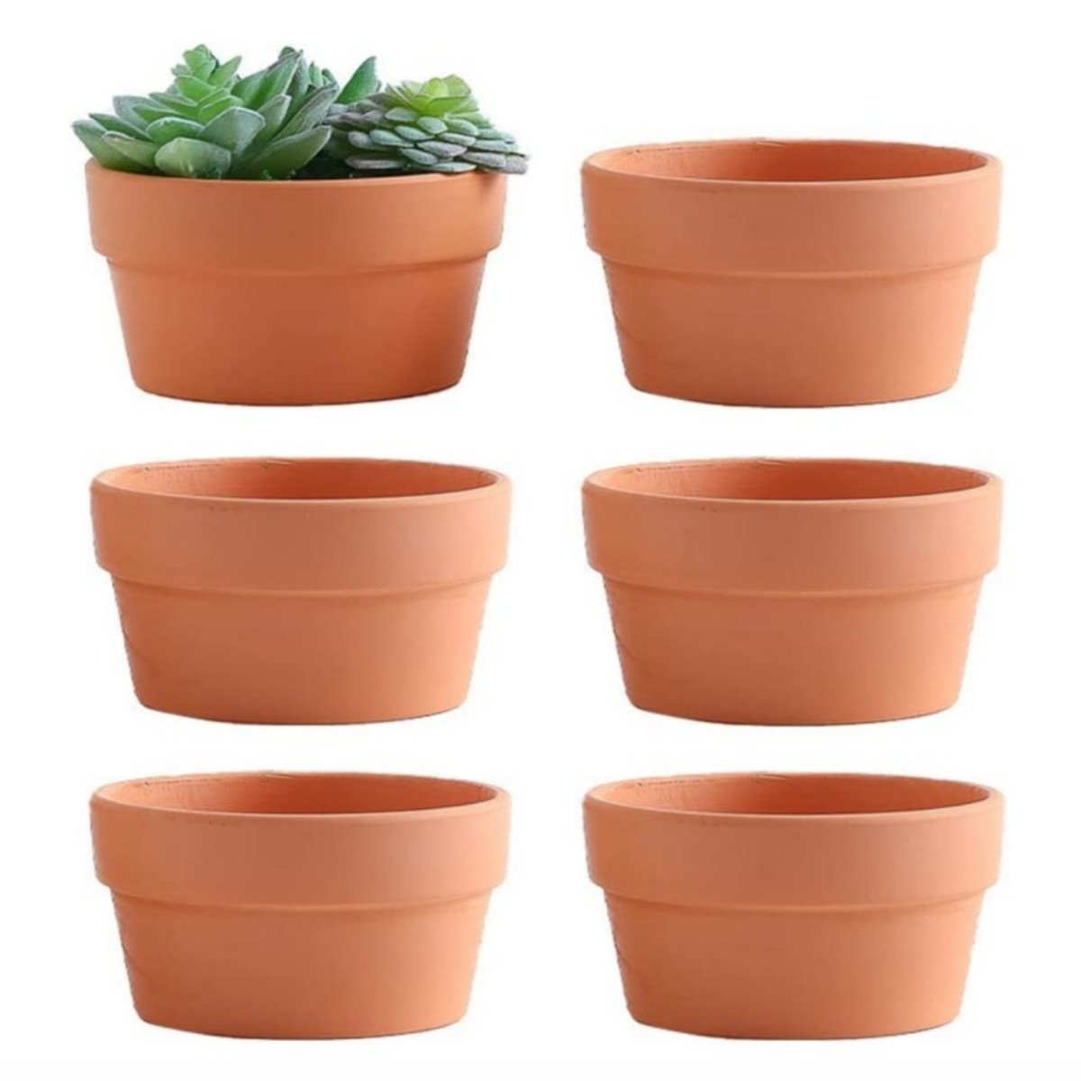 Aloe Vera Pot - 6 Stuks Terracotta Buldpotten 3.5 