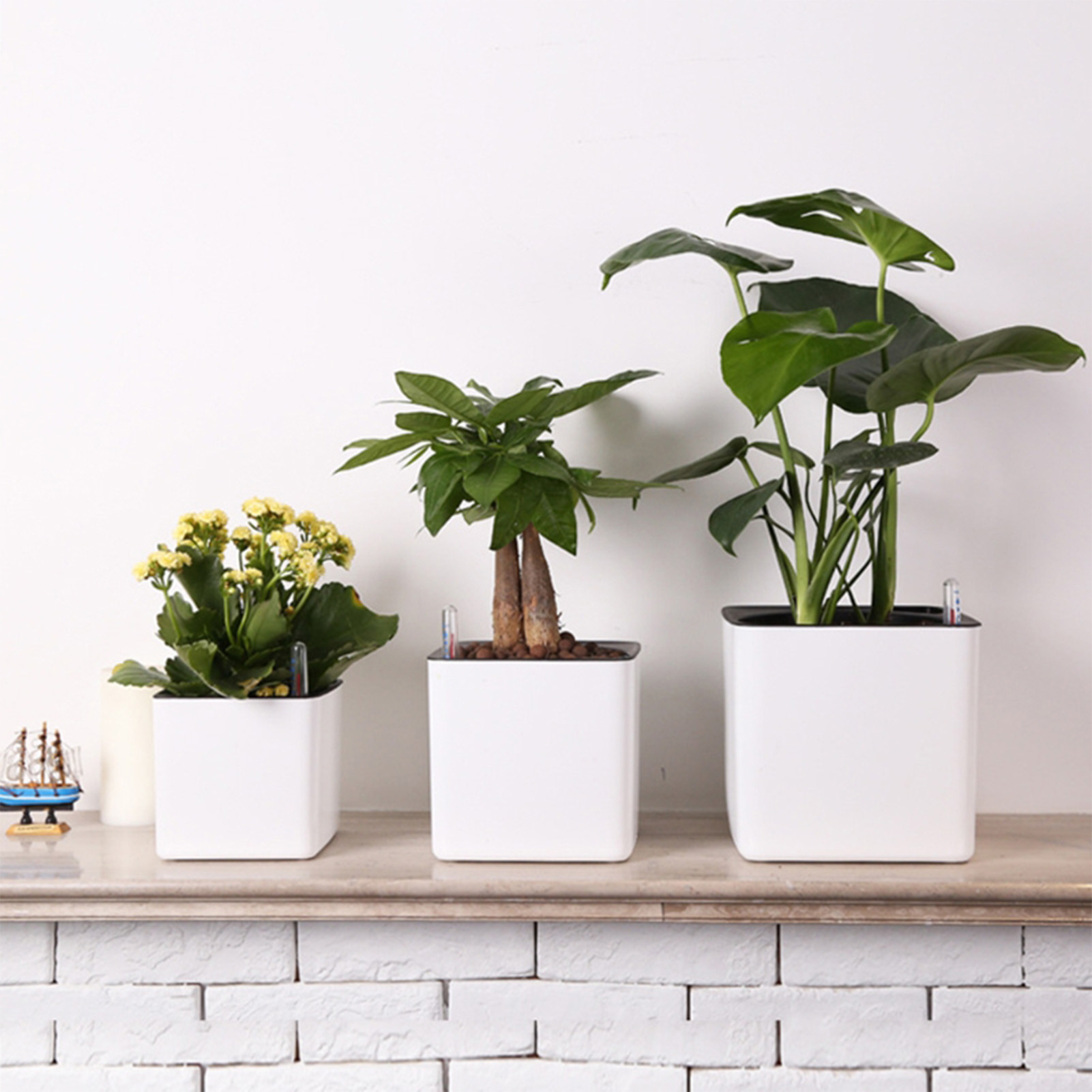 Aloe Vera Pot - Zelfwaterende plantenbak Zelfwaterende pot met waterstandindicator