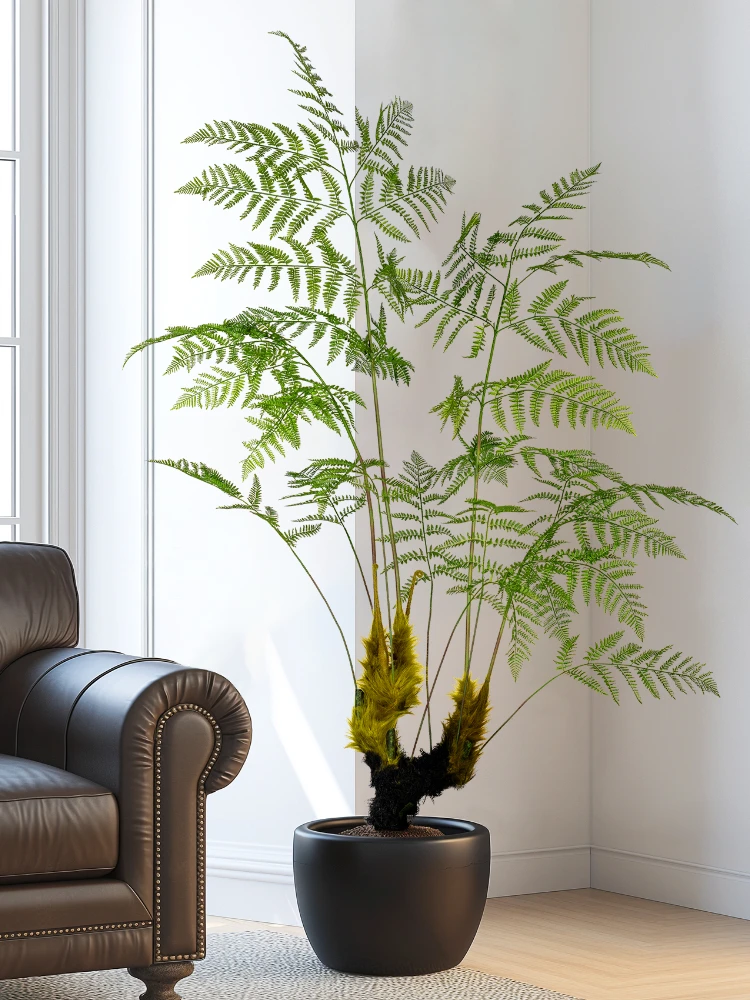 Dracaena Marginata - Grote gesimuleerde gouden aap varen groene