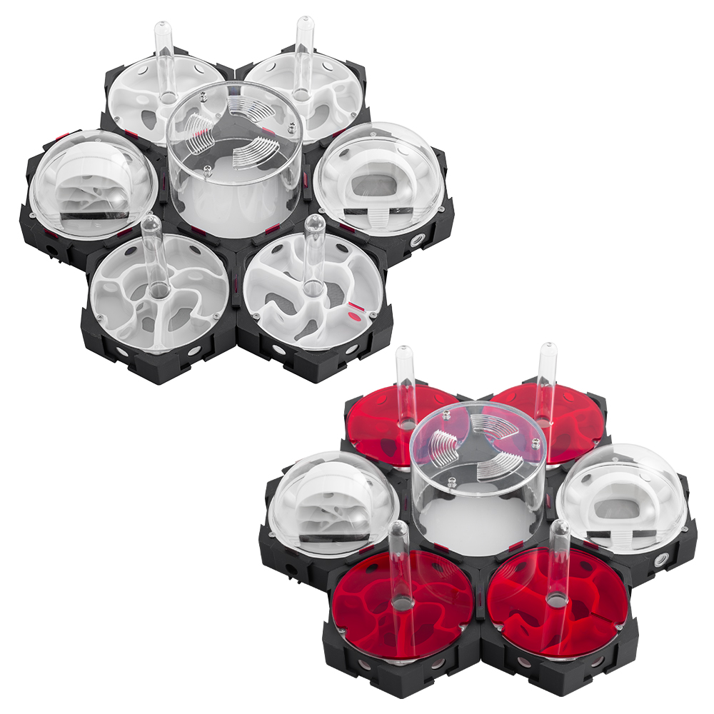 3D Afdrukken Mierennest Traplo - Begonia Rex recensie en prijs