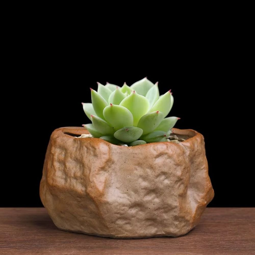 Keramische vetplantenpotten St - Aloe Vera Pot recensie en prijs