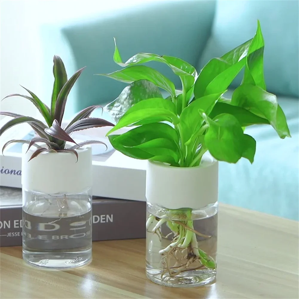 Mini Hydroponische Bloempot Tr - Aloe Vera Pot recensie en prijs