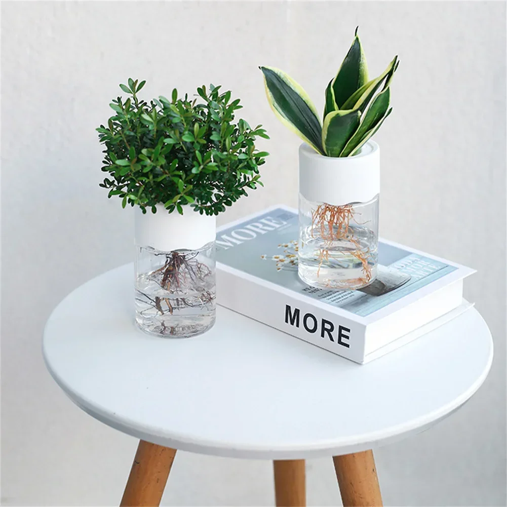 Mini Hydroponische Bloempot Tr - Aloe Vera Pot recensie en prijs