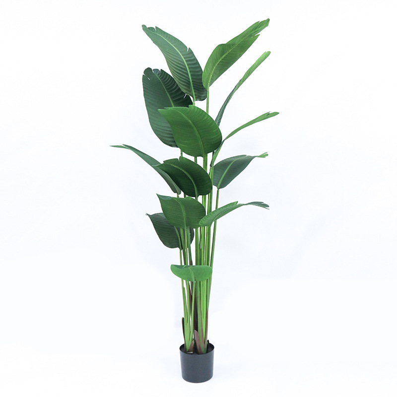 Kunstmatige plastic ingemaakte - Bird Paradise Strelitzia recensie en prijs