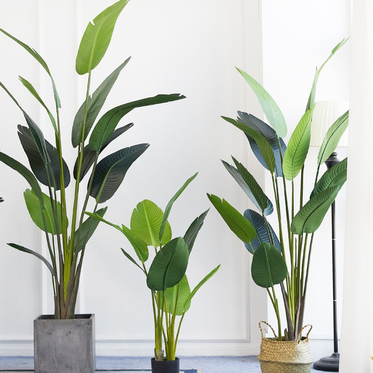 Kunstmatige plastic ingemaakte - Bird Paradise Strelitzia recensie en prijs