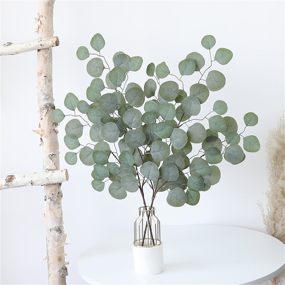 Eucalyptus Blad Wijnstok Kunst - Dracaena Marginata recensie en prijs