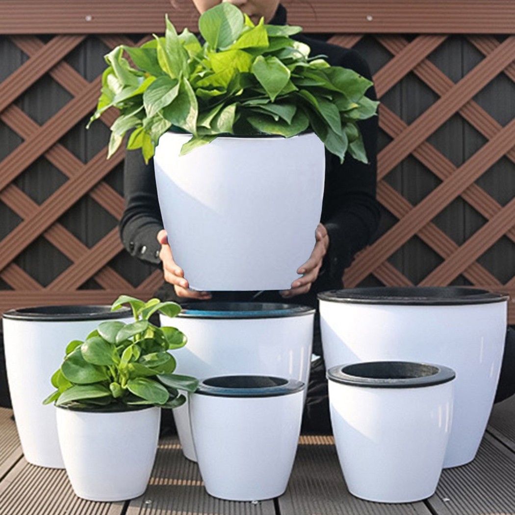 Automatische Bewatering Bloemp - Aloe Vera Pot recensie en prijs