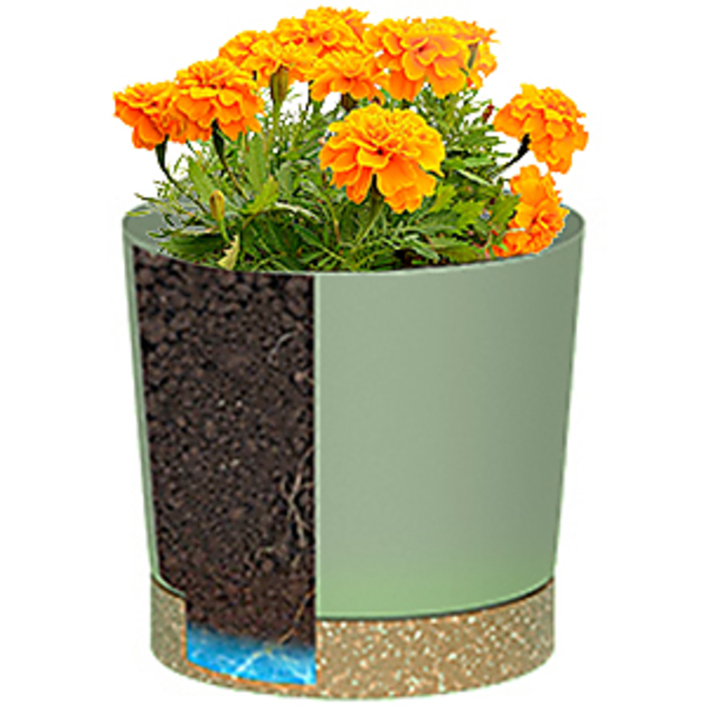 Plantenpotten, lichtgewicht gr - Aloe Vera Pot recensie en prijs