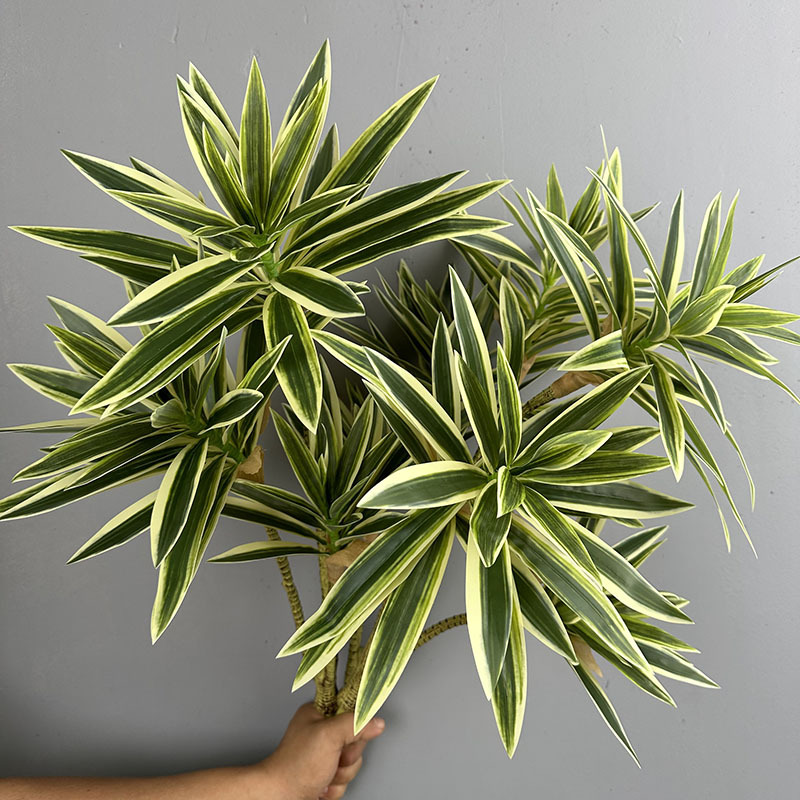 Gesimuleerde groene planten 3  - Dracaena Marginata recensie en prijs